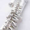 Haynes Amadeus Alto Flute AF570 漢斯中音長笛